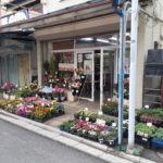 【お花で心に和みを】長瀬フラワー
